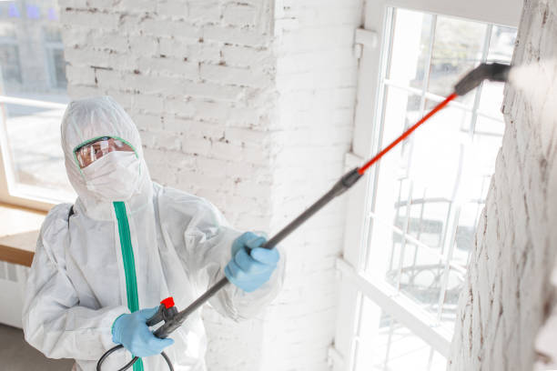 Best Air Quality Testing for Mold Spores  in Orinda, CA