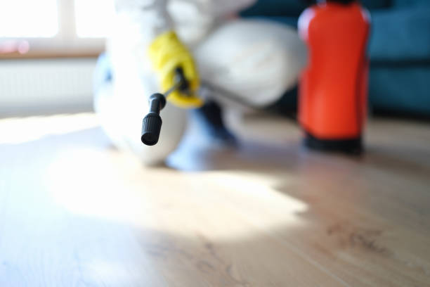 Environmental Consulting for Mold Prevention in Orinda, CA