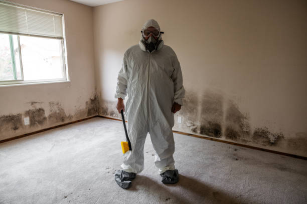 Best Asbestos and Lead Testing During Mold Inspection  in Orinda, CA